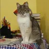 Отзыв от Софья Бондарева